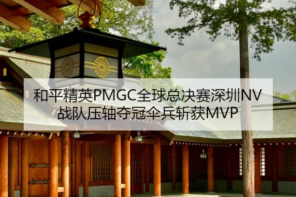 he-ping-jing-ying-quan-qiu-zong-jue-sai-shen-zhen-zhan-dui-ya-zhou-duo-guan-san-bing-zhan-huo-2-673.jpg